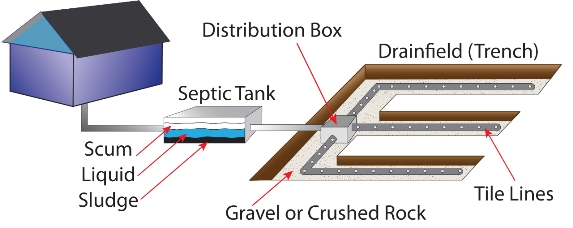 Schematic of Conventional Septic System